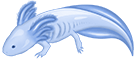 Pixelotl Designs